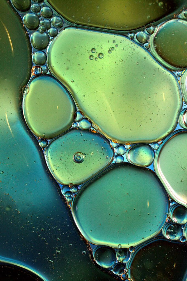 Blueberry Seed Oil